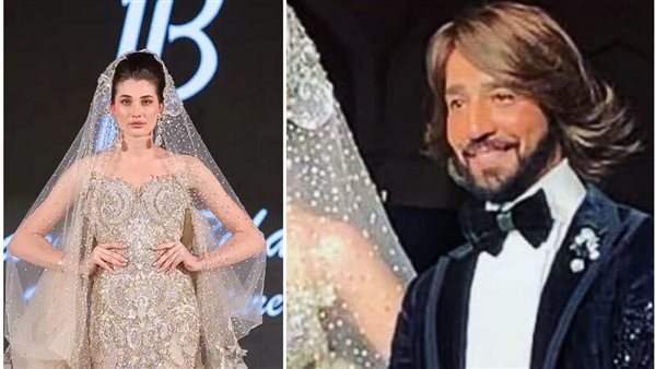 هاني البحيري