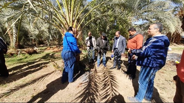 جانب من المتابعة