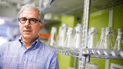 ابني السبب.. مكتشف أول علاج لمرض السكري: الخلايا الجذعية ستتوفر في 2025 