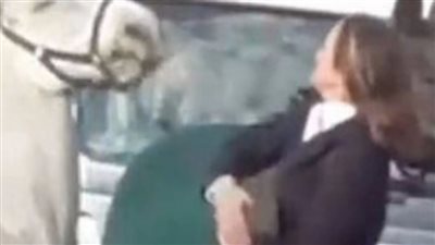 صفعته على وجهه.. معلمة بريطانية تفقد وظيفتها بسبب حصان