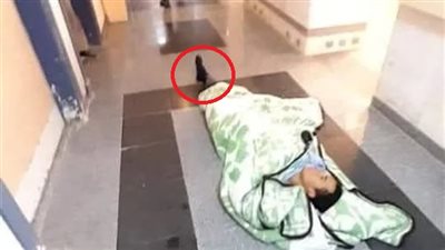 متحدث الصحة عن مريض مستشفى الضبعة: لم أرى في حياتي أحد يخرج من العمليات مرتديا شراب 