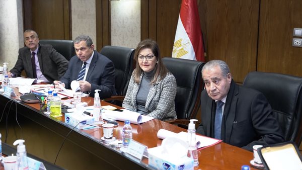  قرار المجلس القومي