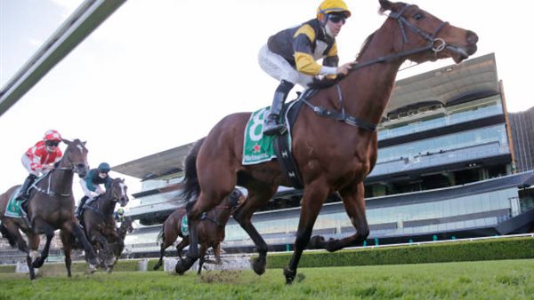 الفارس المصري طلعت