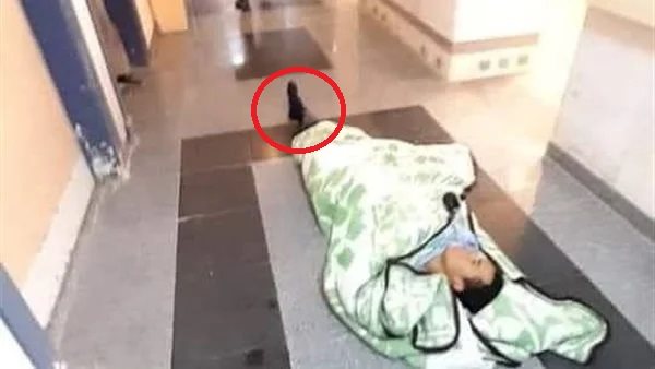 صورة متداولة لمريض