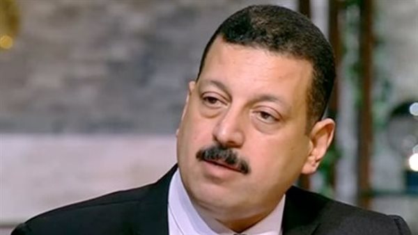 أيمن حمزة - المتحدث