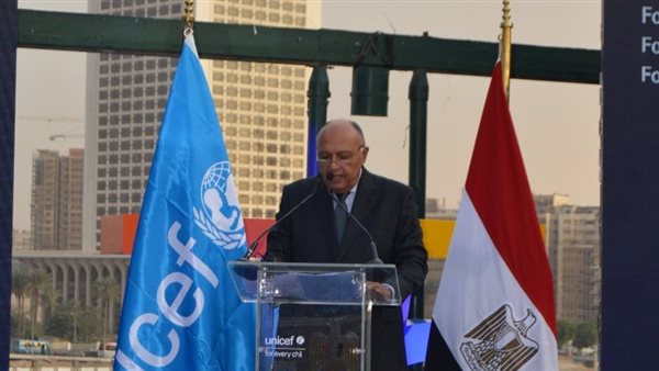 سامح شكري وزير الخارجية