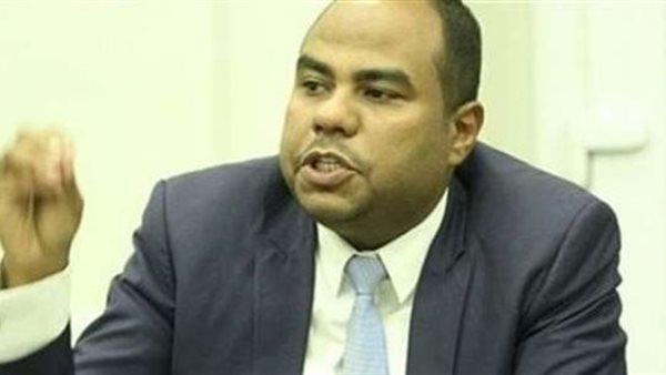 محمود عنبر- أستاذ