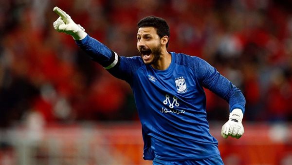 محمد الشناوي 