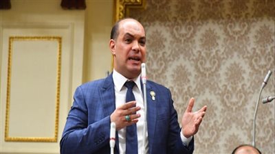 برلماني: القيادة السياسية لديها رؤية استراتيجية لكافة المشروعات التنموية
