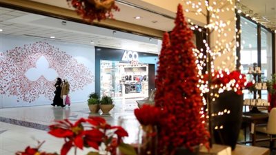 بعد تداولها بمتاجر الرياض.. لماذا منعت السعودية استيراد شجرة الكريسماس؟