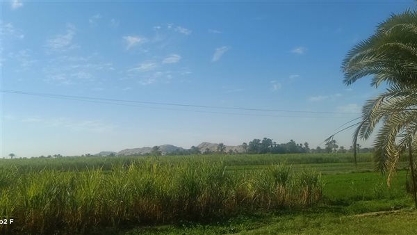 حالة الطقس أرشيفية