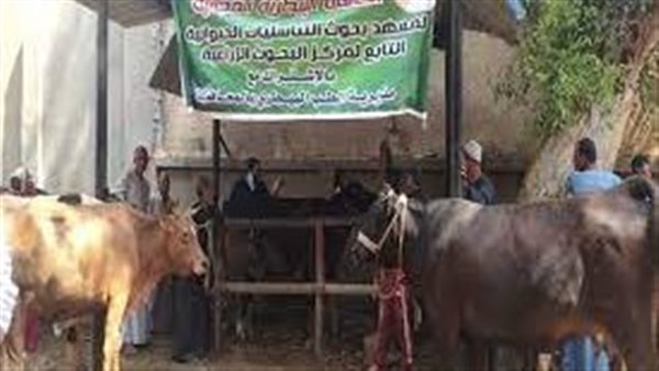 معهد التناسليات الحيوانية