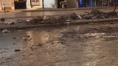 سقوط أمطار متوسطة ورياح شديدة تضرب مدن البحيرة| بث مباشر