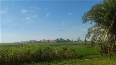 مائل للبرودة ليلا معتدل نهارا.. حالة الطقس في أسوان