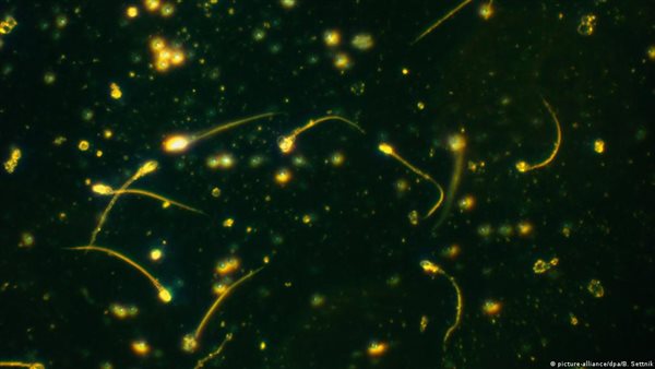 تأثير أوميكرون على