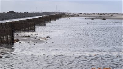 وزير الري يتابع الموقف التنفيذي لمشروع التكيف المناخي بالساحل الشمالي ودلتا نهر النيل