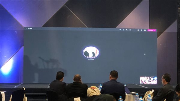 وزيرة التضامن