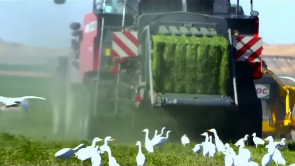 مشروع توشكى الخير