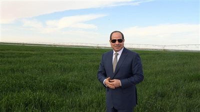 السيسي يعيد الحياة إلى المشروعات القومية المتوقفة.. أبرز محطات مشروع توشكى منذ 1997