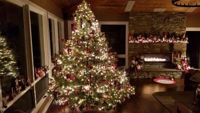 هل يجوز للمسلمين شراء شجرة الكريسماس والاحتفال بأعياد الميلاد؟.. علي جمعة يرد 