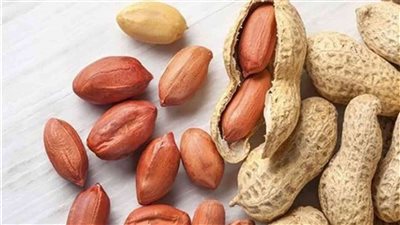 منها تليف الكبد والسرطان.. تعرف على أمراض كارثية يسببها الفول السوداني 