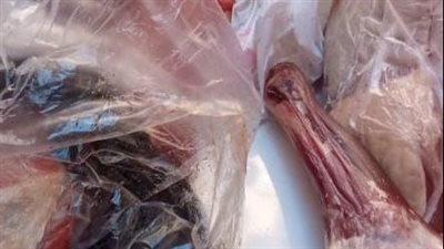 ضبط جزارين لقيامهم بالذبح خارج المجازر وعرضهم لحومًا فاسدة بالبحيرة 