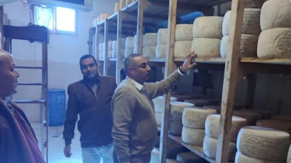 ضبط جبنة رومي غير