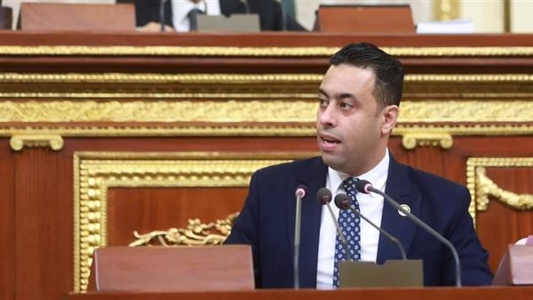 النائب أحمد فرغلي