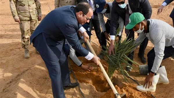 الرئيس عبدالفتاح