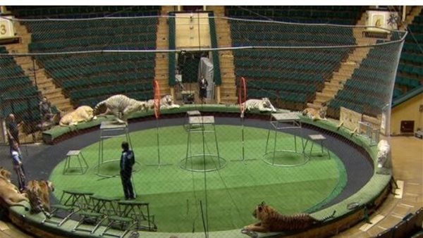 سقوط اثنين من البهلوانيين