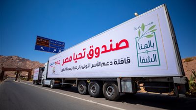 صندوق تحيا مصر يجهز قافلة مساعدات لدعم قطاع غزة