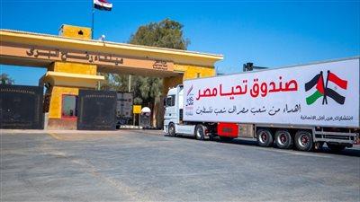 11 مليون جرعة لقاح و3 ألقاب بموسوعة جينيس.. صندوق تحيا مصر يستعرض إنجازات 2021