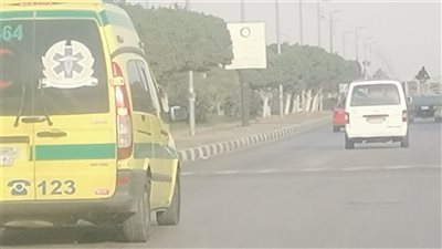 كانو رايحين يجمعوا طماطم.. إصابة 25 عاملا في انقلاب سيارة بالإسماعيلية | أسماء