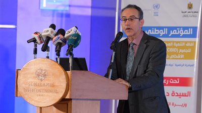 الأمم المتحدة: نعمل على دمج ذوى الإعاقة في مجالات الحياة