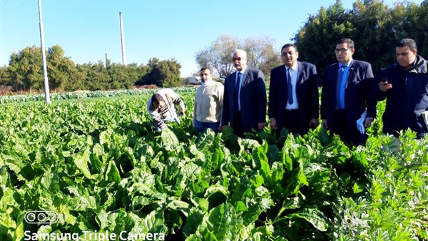 جانب من المتابعة