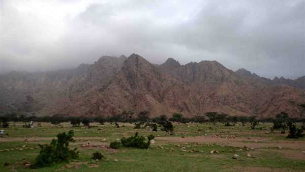 أجواء الشتاء في حلايب