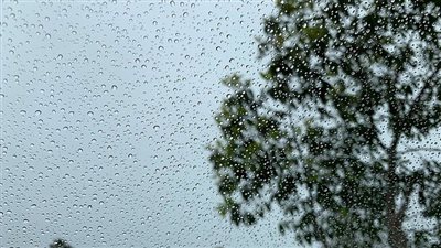 سقوط أمطار خفيفة على عدد من المناطق المتفرقة في البحر الأحمر