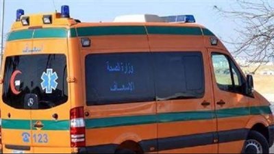 ارتفاع عدد ضحايا حادثة انهيار مدخنة مصنع طوب بالدقهلية إلى 4 عمال