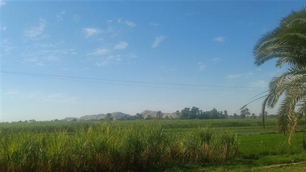 حالة الطقس بأسوان