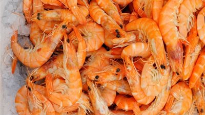 قادم من إندونيسيا.. إدارة الغذاء والدواء الأمريكية تحذر من جمبري ملوث بمادة مشعة خطيرة