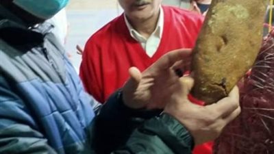 ضبط 175 كيلو لحم غير صالح للاستهلاك بمصنع بسطرمة مخالف للاشتراطات بالمنوفية