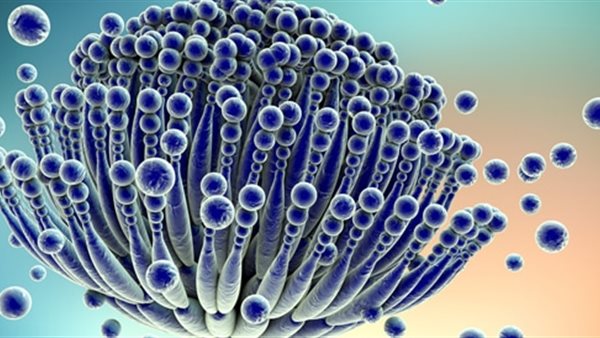 داء الرشاشيات 