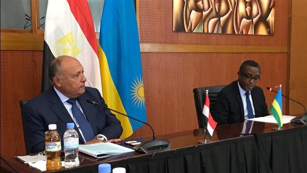 سامح شكري ونظيره