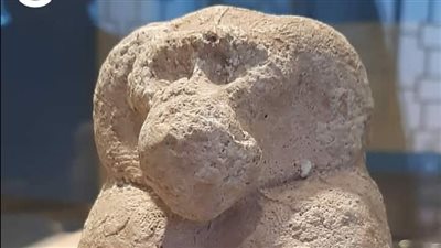 لأول مرة.. متحف تل بسطا يجري استفتاء لاختيار قطعة يناير الأثرية | صور