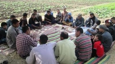 ما هي المدارس الحقلية التي أطلقتها وزارة الزراعة في عدد من المحافظات؟