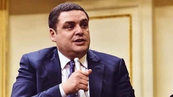 النائب حسام العمدة