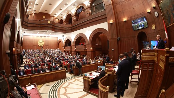 مجلس الشيوخ 