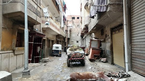 نفوق حصان وحمار بسبب