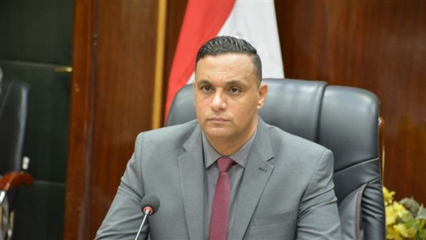 محافط الدقهلية 