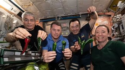 أبرزها الفلفل.. ناسا تنشر صور أفضل تجارب علمية على محطتها الفضائية خلال 2021